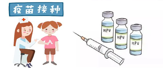 打了hpv疫苗怀孕了的影响